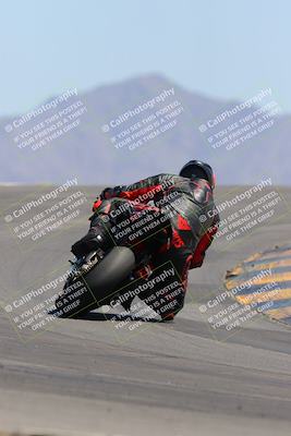 media/Apr-09-2023-SoCal Trackdays (Sun) [[333f347954]]/Turn 12 Backside (1pm)/